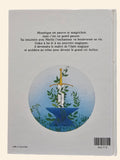 Walt Disney: Merlin l'enchanteur *110 pages