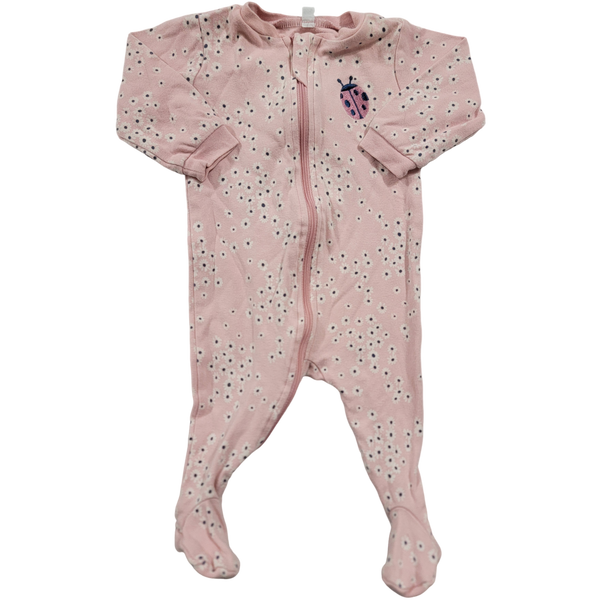 Pekkle bio 3 mois🐞