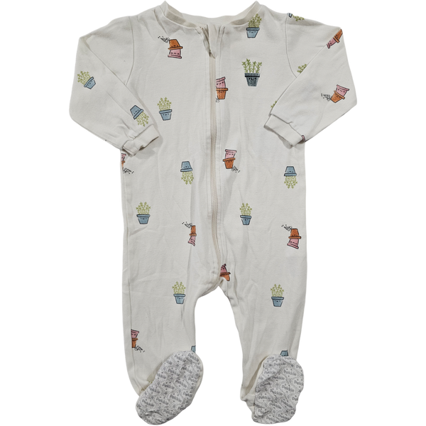 Pekkle bio 12 mois🪴