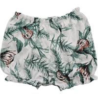 Island trotter 24 mois