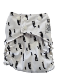 La petite ourse 10-35lbs *avec un insert