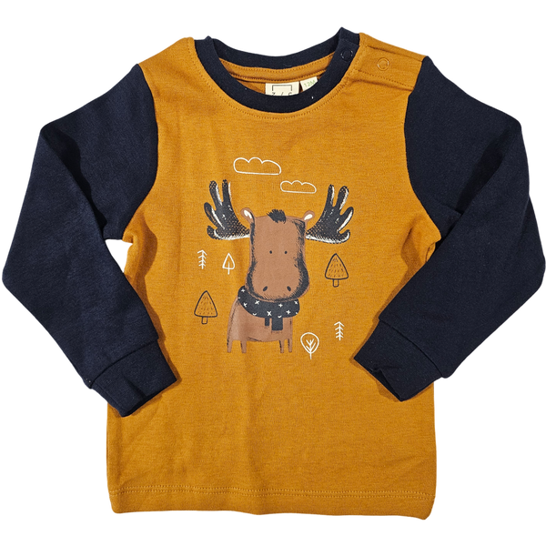 Zone choc bio 12 mois