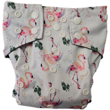 La petite ourse 10-35lbs *avec insert integré+1 booster