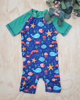 Coyote&Co 6-9 mois