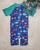 Coyote&Co 6-9 mois