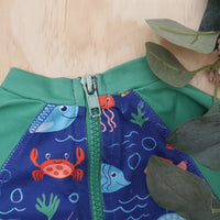 Coyote&Co 6-9 mois