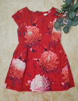 GAP 4-5T