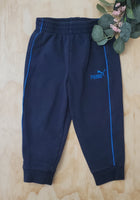 Puma 2T