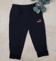 Puma 2T