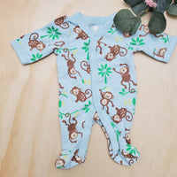Koala baby Prémat.