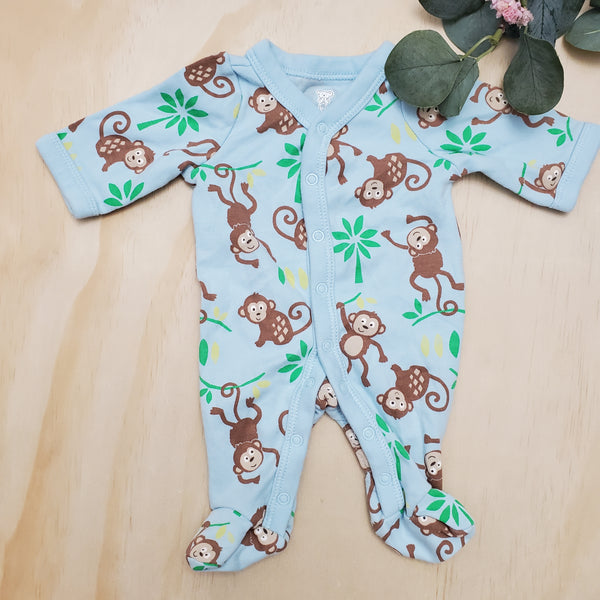 Koala baby Prémat.