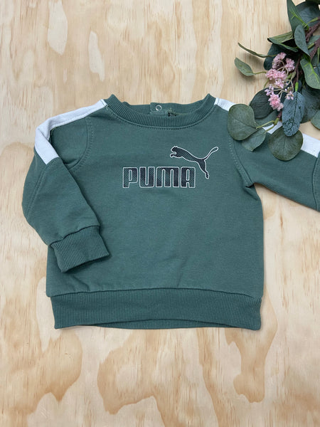 Puma 12 mois