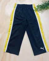Puma 2T