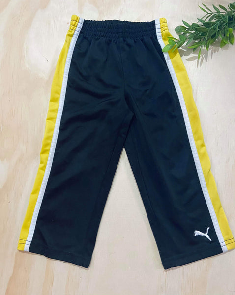 Puma 2T
